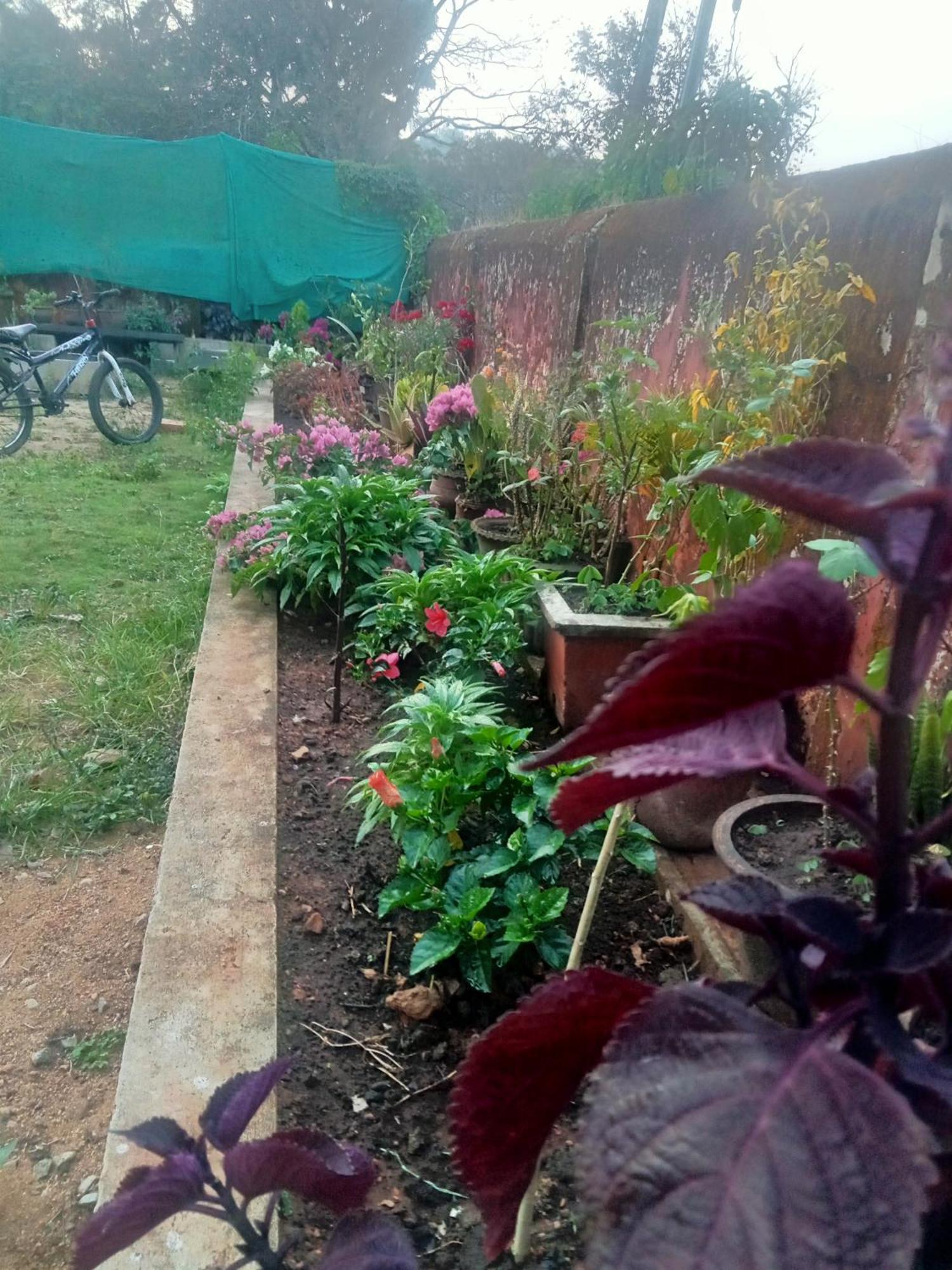 Eshwarkrupa Homestay Madikeri Buitenkant foto