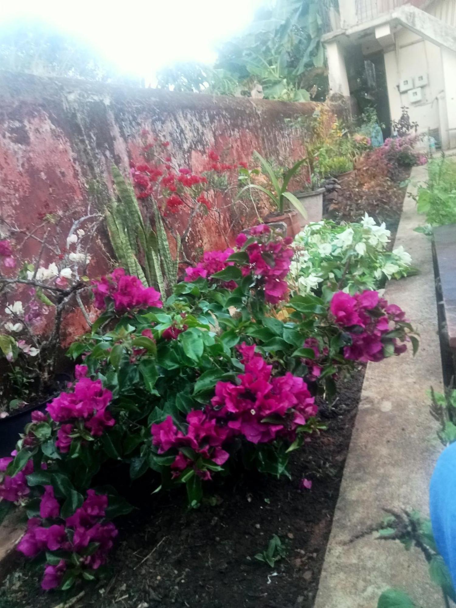 Eshwarkrupa Homestay Madikeri Buitenkant foto